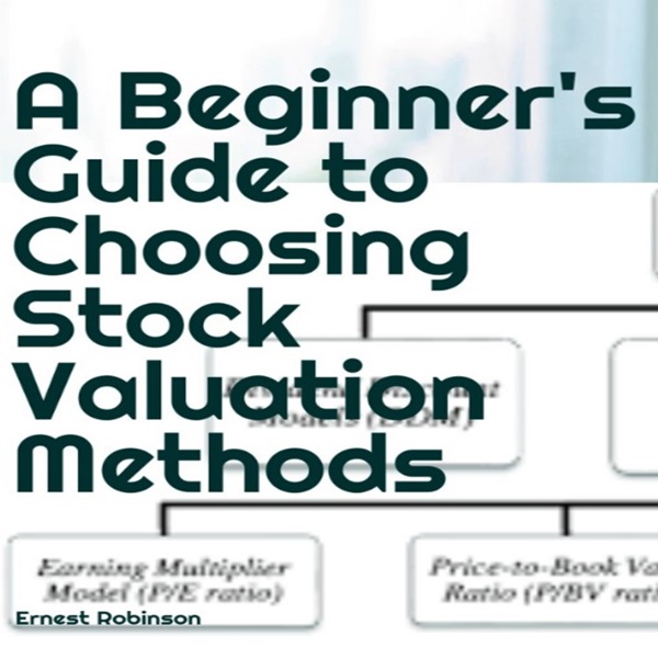 A Beginner's Guide to Choosing Stock Valuation Methods